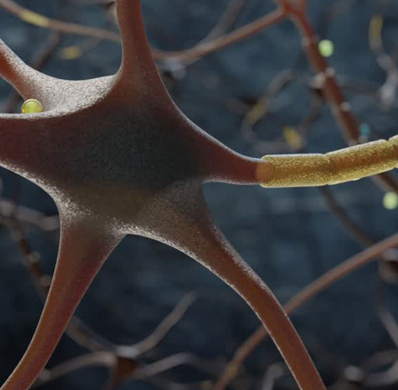 Quantasia - Educazione Neuroemozionale