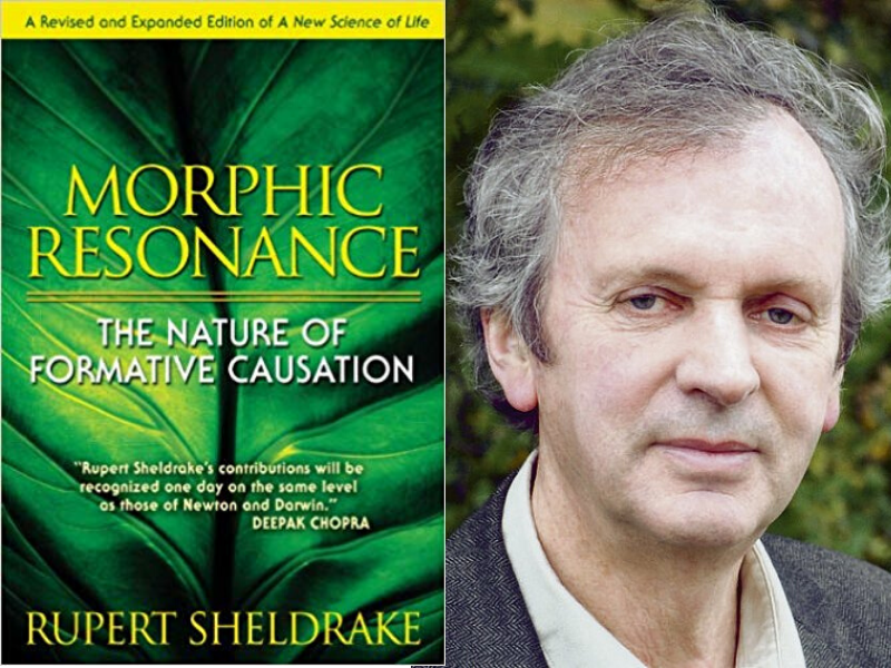 morphic resonance rupert sheldrake